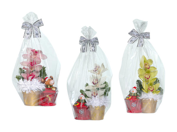Composition d'orchidées avec personnage de Noël