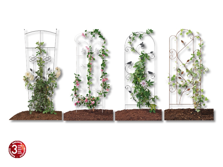 Treillage pour plantes grimpantes