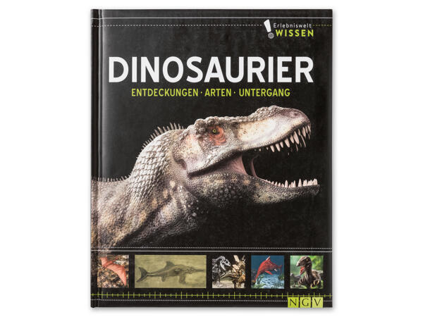 Wissensbuch
