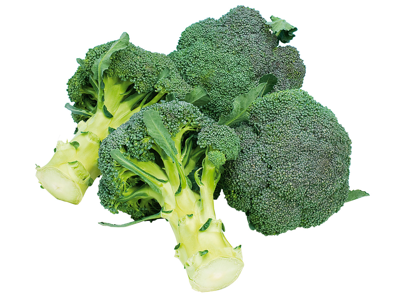 Broccoli