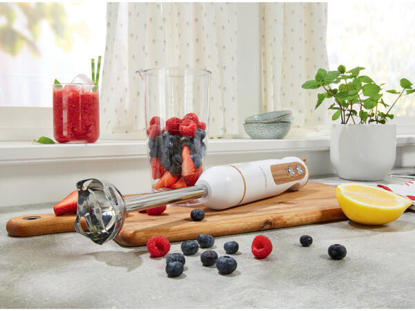 Silvercrest Kitchen Tools Stavmixer