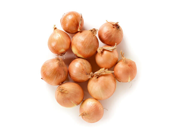 Oignons