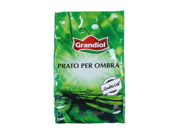 Grass Seeds for Shady Areas