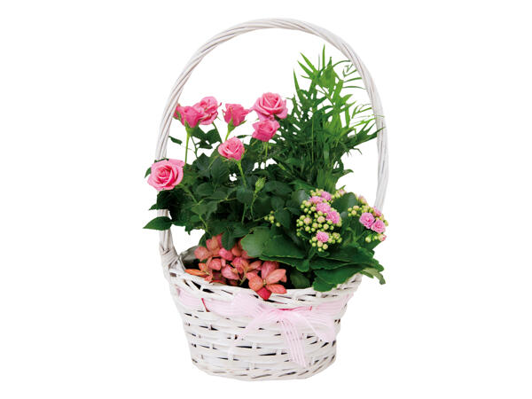 Mother's Day Basket