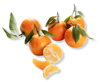 Clementine con foglie