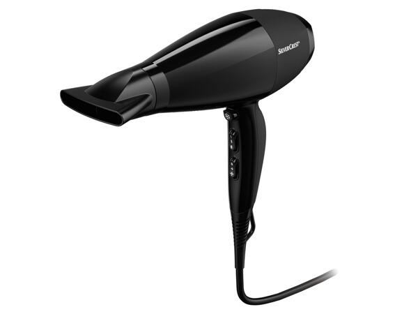 Professional Ionic Hair Dryer
