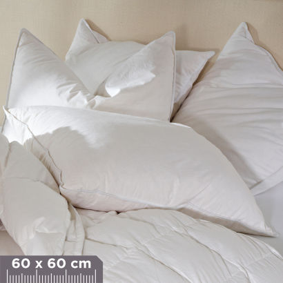 Oreiller demi-duvet