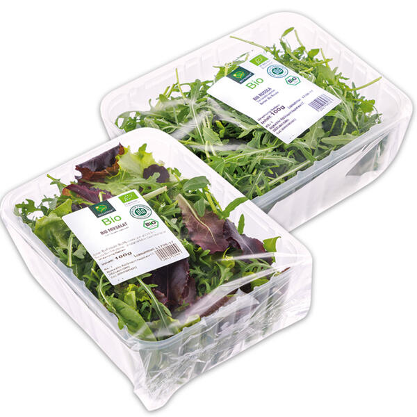 Bio-Salat
