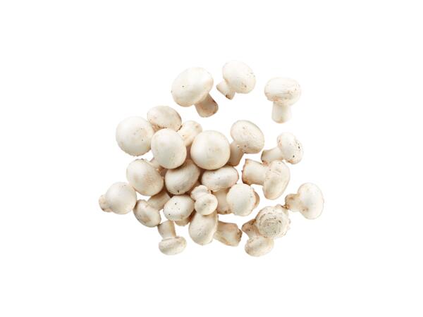 Mushrooms