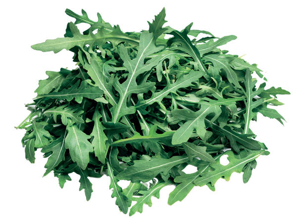Rucola-Salat