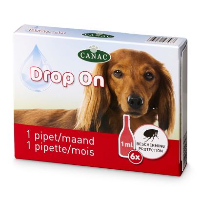 Soin du pelage pour chien
