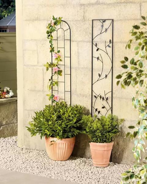 Trellis