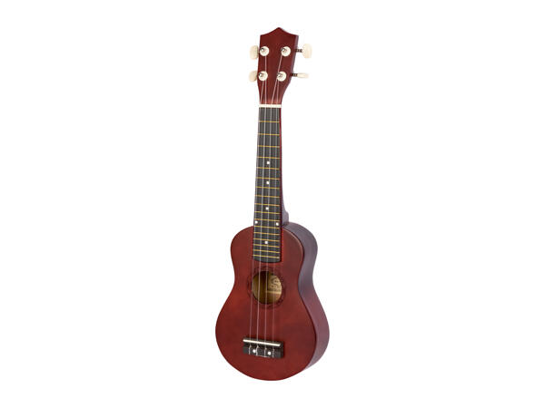 Soprano Recorder / Ukulele Set