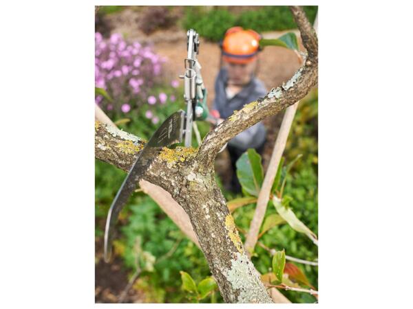 Telescopic Tree Pruner with Saw