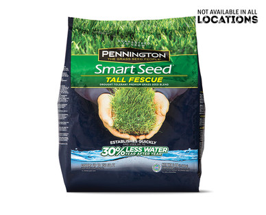 Pennington Smart Seed Tall Fescue Mix