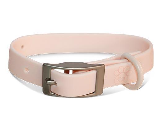 Heart to Tail Pet Collar