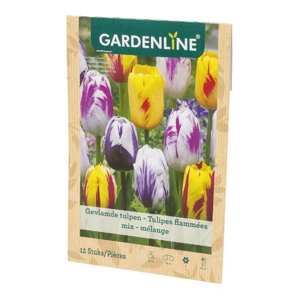 GARDENLINE(R) 				Bulbes à fleurs