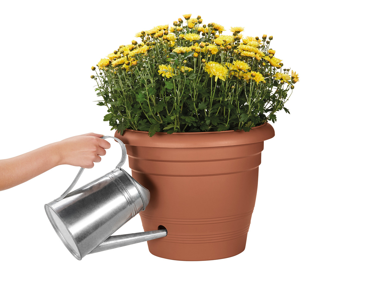 Florabest Self-Watering Plant Pot1