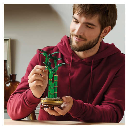 Botanical Bamboo Building Set, 325 pcs
