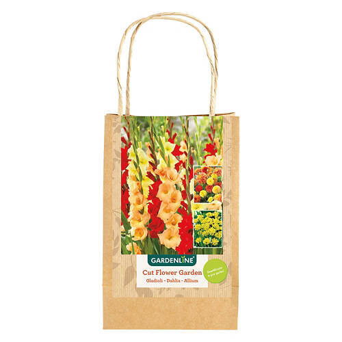 Sun or Shade Lovers Bulbs - Assorted Varieties