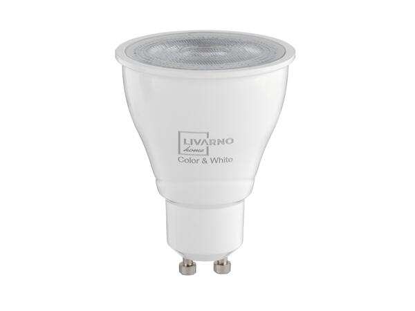 Smart LED Light Bulb