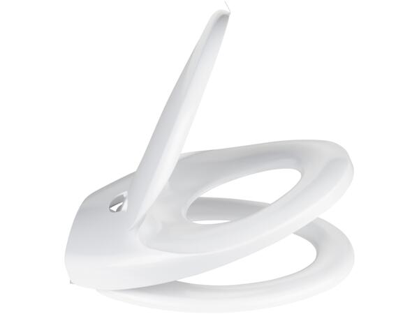 Family Toilet Seat