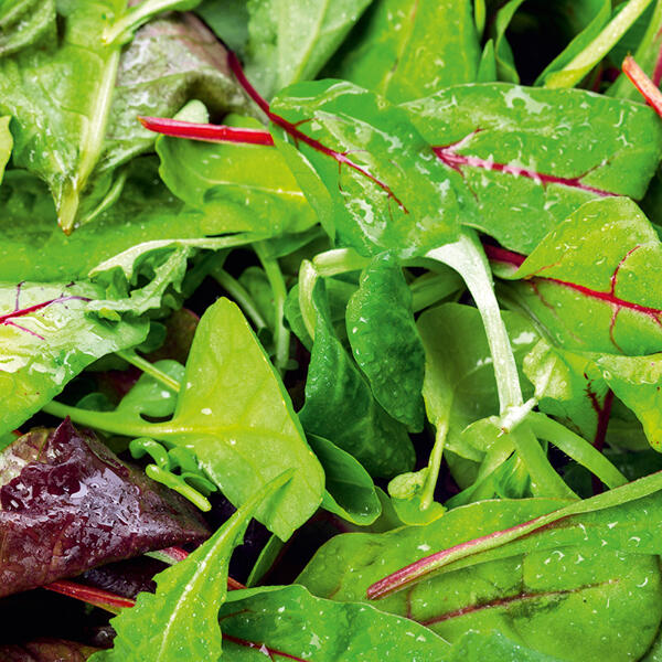 Bio-Salate