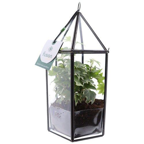 GARDENLINE Arrangement Green Home