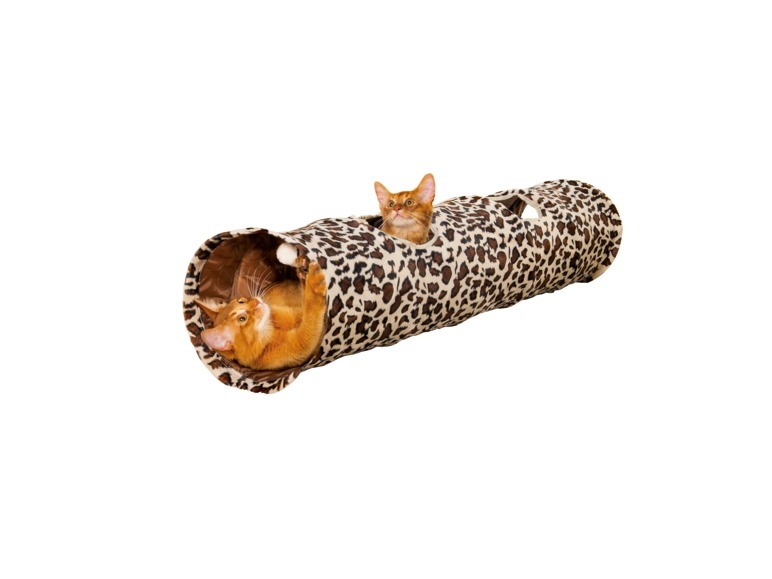 Speeltunnel voor katten
