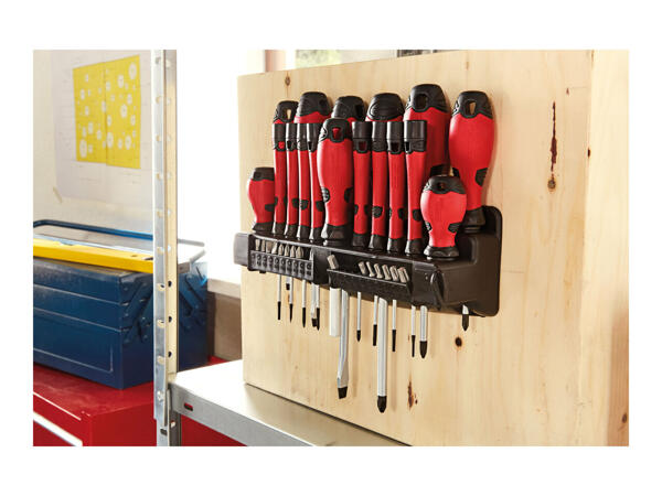 Parkside Screwdriver & Bit Set