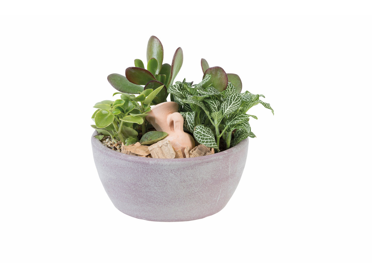 Plantencompositie in betonnen schaal