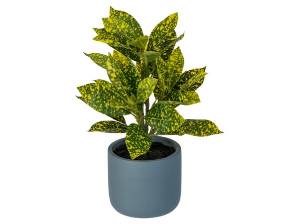 Artificial Plant