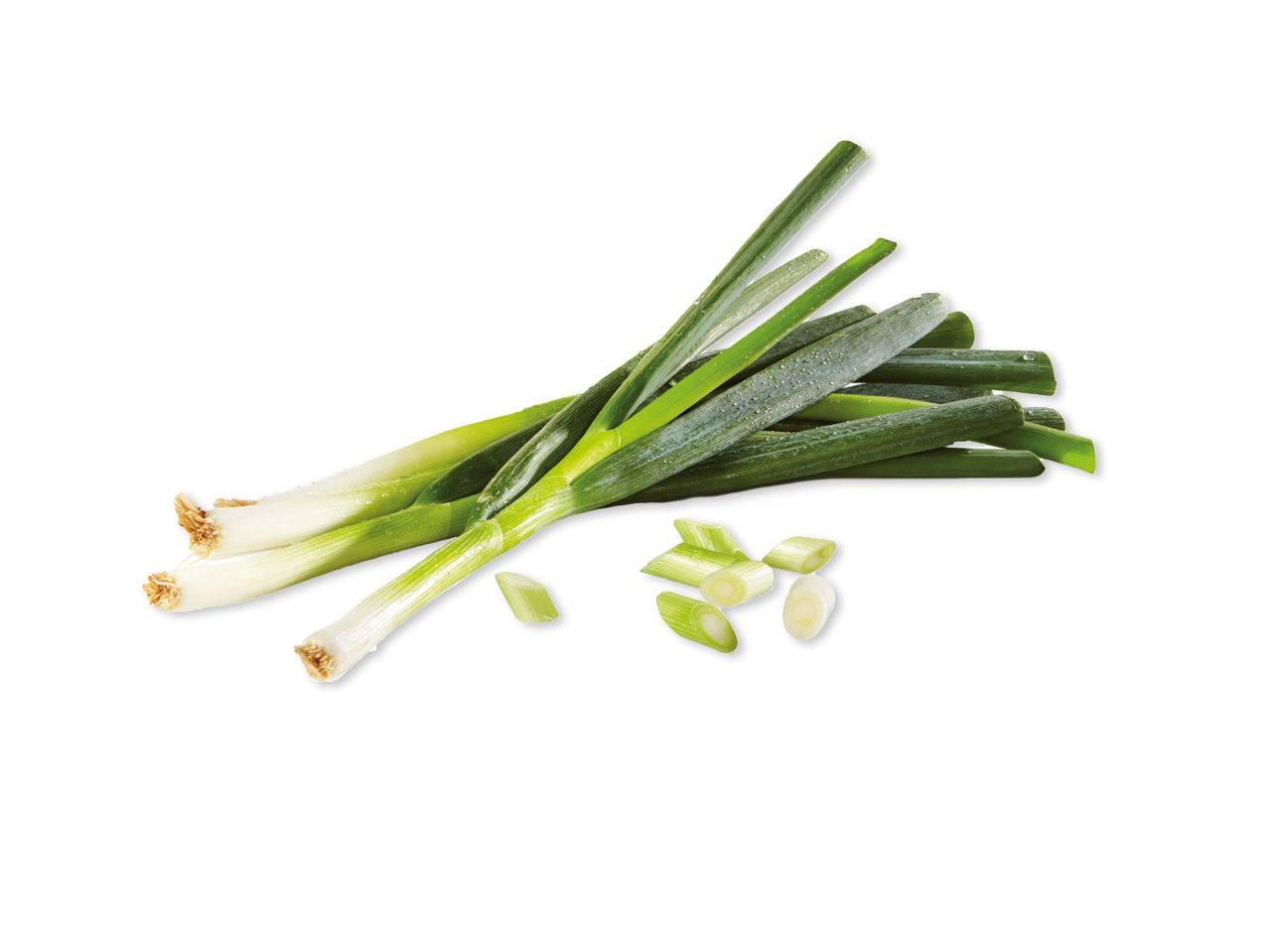 PURJOLÖK