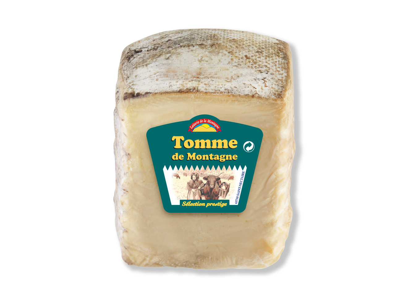 Tomme de Montagne