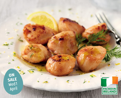 Queen Scallops