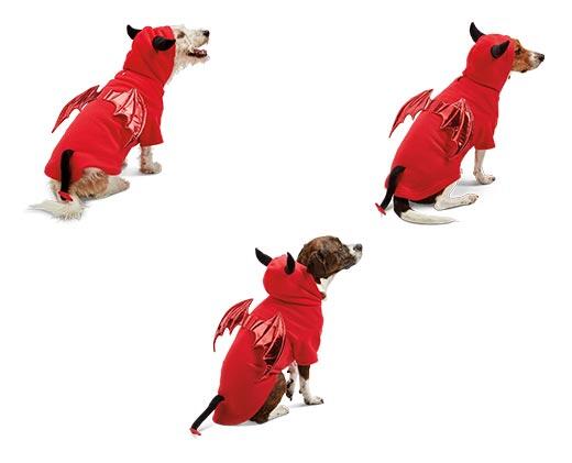 Heart to Tail
Pet Halloween Hoodie Costume