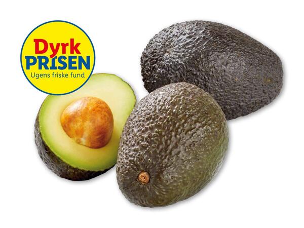 Avocado