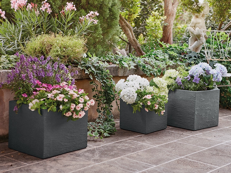 FLORABEST Square Planter