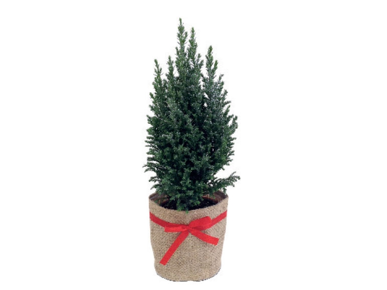 Glitter Christmas Tree