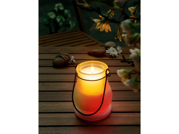 Citronella Candle
