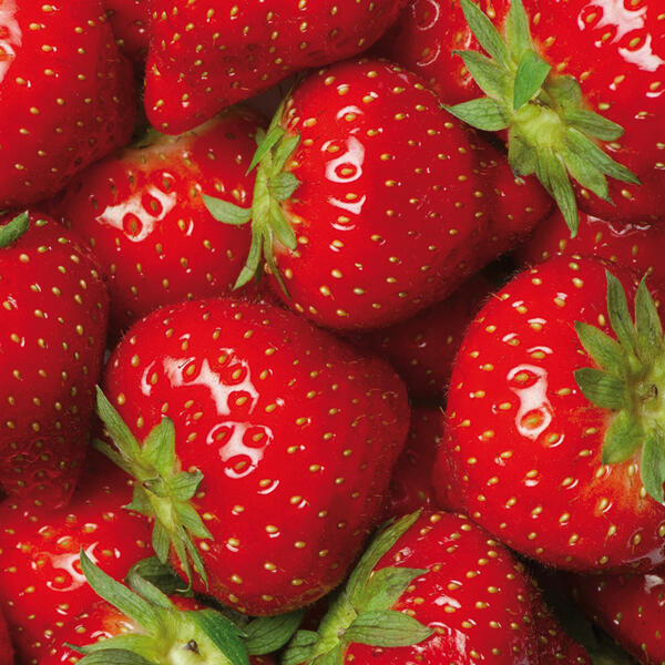 Premium Erdbeeren