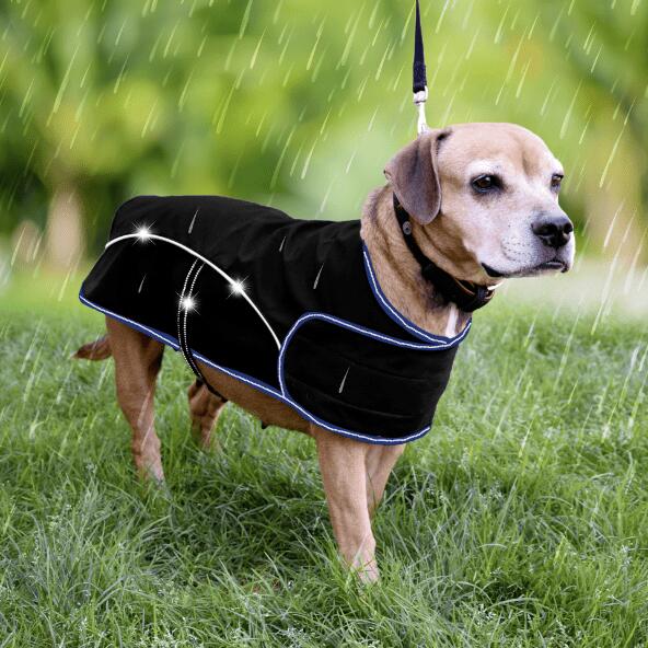 SUPERCRACK(R) 				Manteau de pluie pour chien