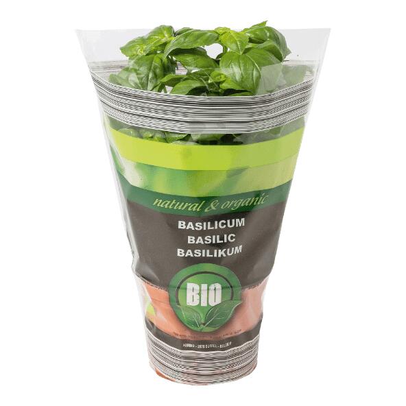 Biokruidenplant