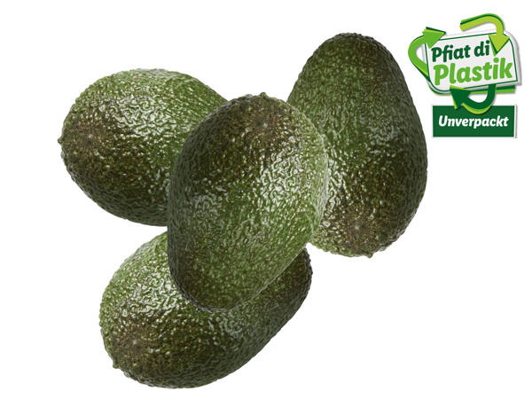 Avocado