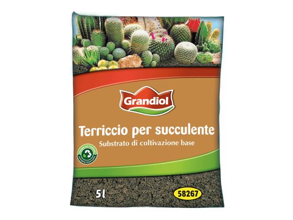 Succulents Potting Soil 5L