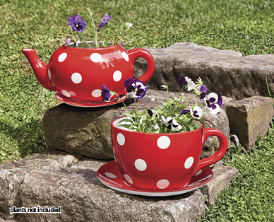 TEACUP OR TEAPOT PLANTER
