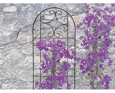 Gardenline Trellis