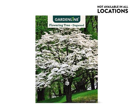 Gardenline 
 Shade or Ornamental Tree Assorted Varieties