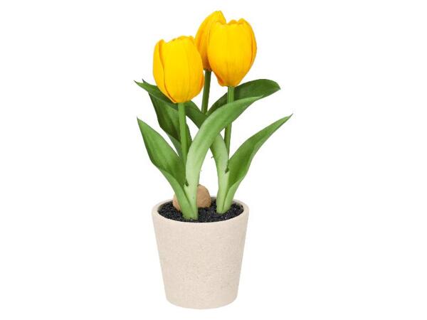 Umělé tulipány