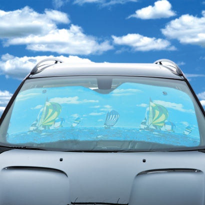 Pare-soleil pour voiture